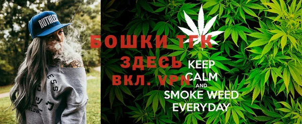 шишки Нефтегорск