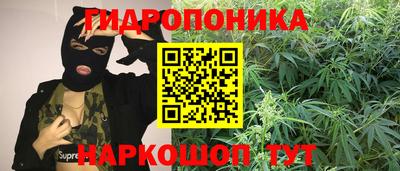 ГАЛЛЮЦИНОГЕННЫЕ ГРИБЫ Балахна