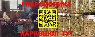 дживик Балахна