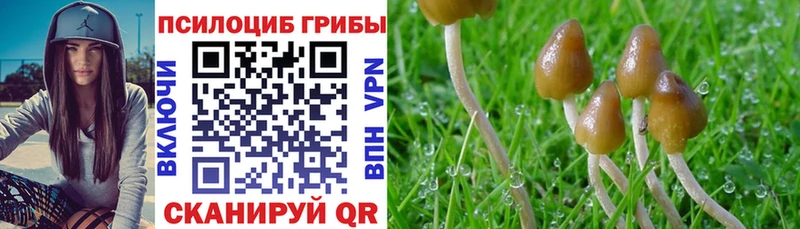 Галлюциногенные грибы ЛСД  Богородск 