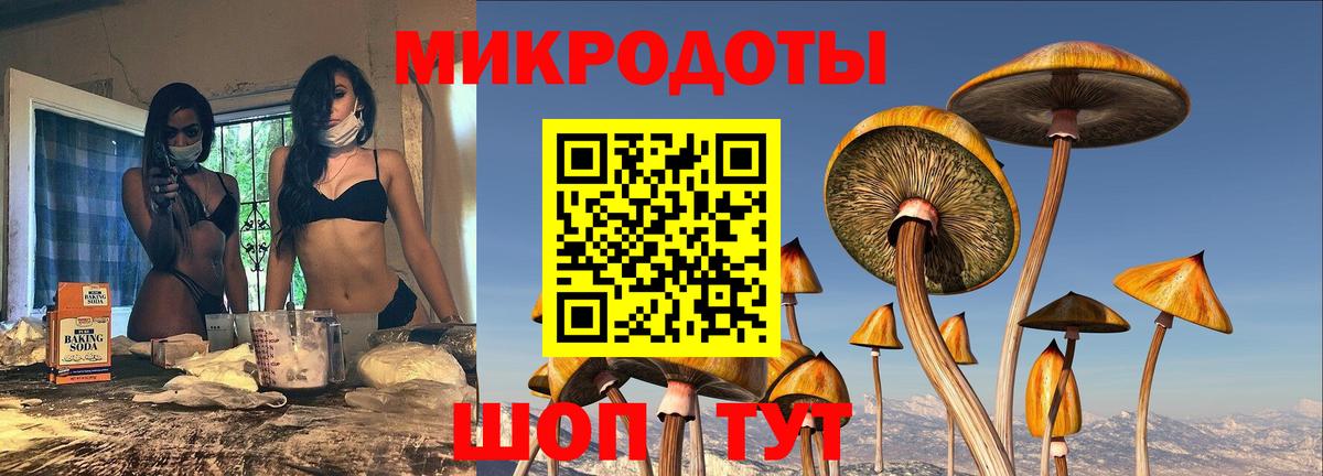 Галлюциногенные грибы мухоморы Богородск