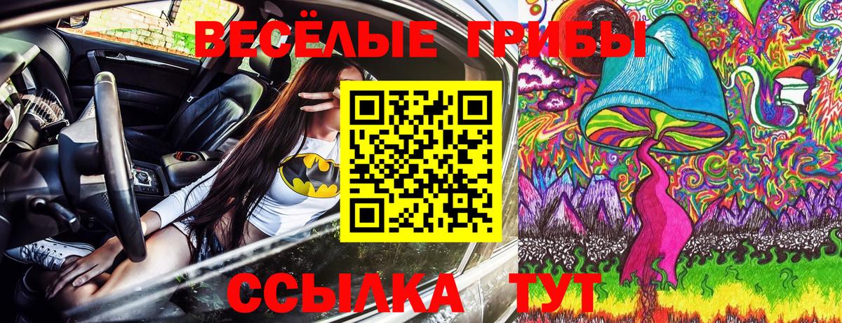 Галлюциногенные грибы мицелий  Галлюциногенные грибы мицелий  Богородск  Вход с VPN 