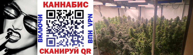 Бошки Шишки OG Kush Богородск